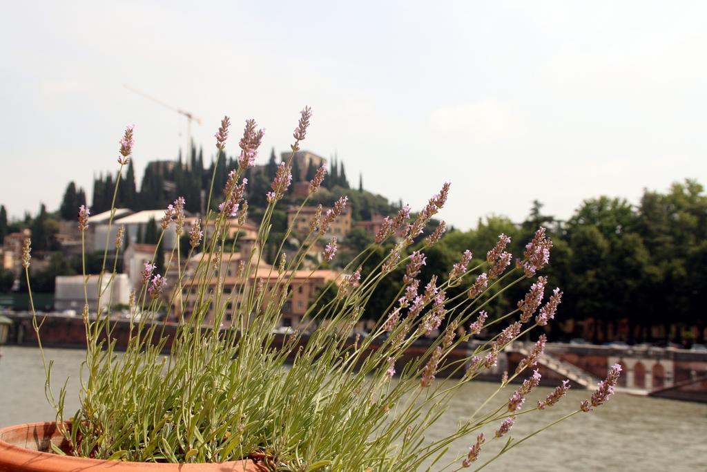 Sottoriva36 Bed and Breakfast Βερόνα Εξωτερικό φωτογραφία